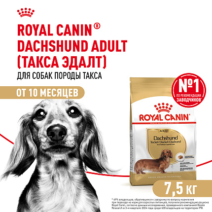 Royal Canin Dachshund Adult Корм сухой для взрослых собак породы Такса от 10 месяцев, 7,5 кг
